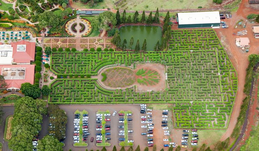 Dole Plantation on Oahu in Oahu - Hawaiian Planner