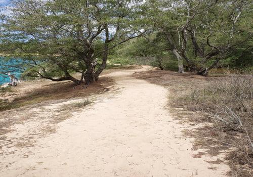 Mahaulepu Beach Trail