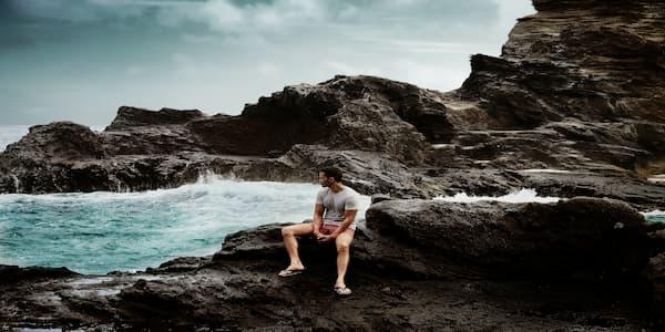 Check Out Cockroach Cove