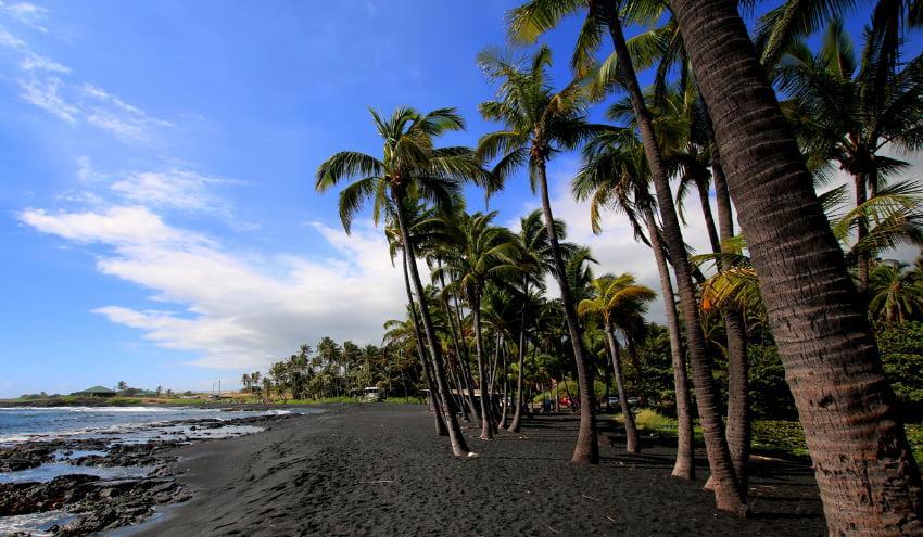 Punalu'u Black Sand Beach in Big Island - Hawaiian Planner