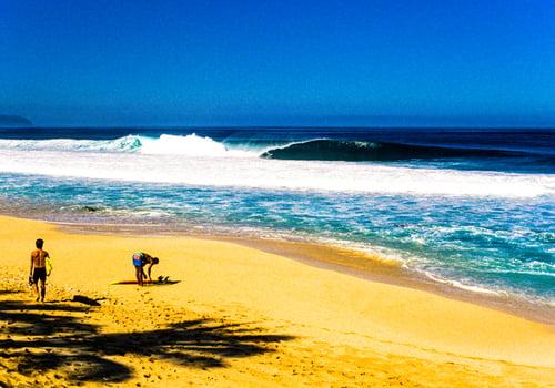 Summertime Activities