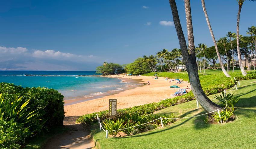 Ulua Beach in Maui - Hawaiian Planner