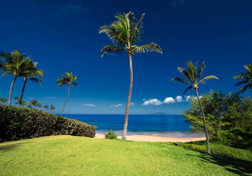 Ulua Beach in Maui - Hawaiian Planner