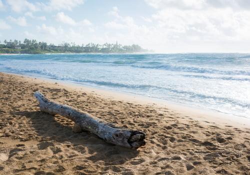Wailua Beach