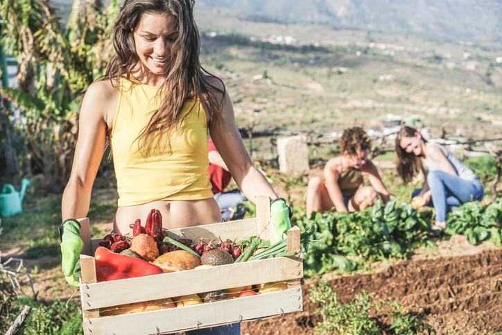 planning a trip to Hawaii food tours harvesting