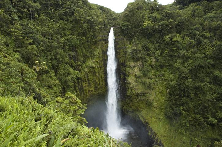 Akaka Falls