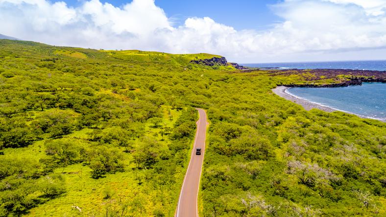 Don't Miss Out on the Roadside Scenery