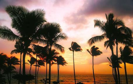 Hawaii Sun Set View