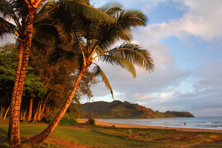 Hanalei Beach Park