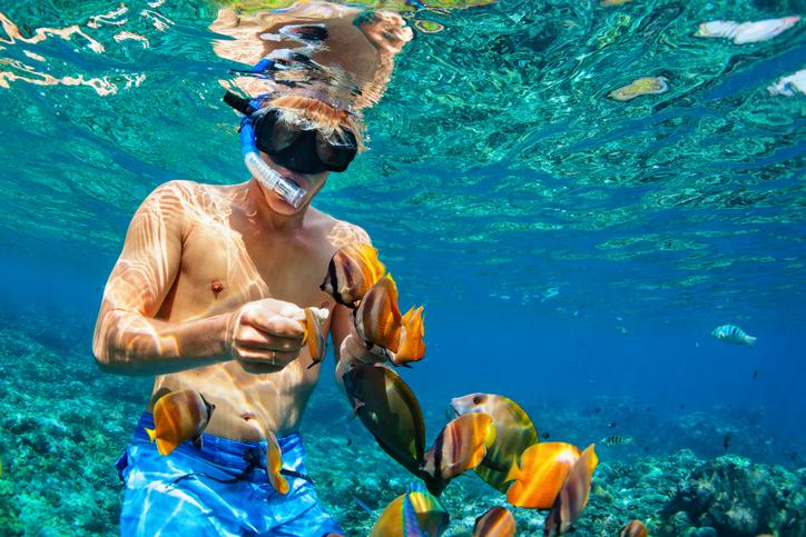 Snorkel