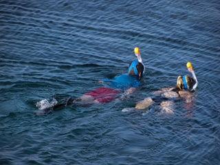 Snorkeling