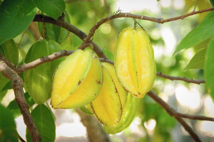 Fruits des étoiles