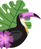 Hawaii Itineraries Parrot
